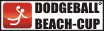 dodgeball_beach_cup.jpg
